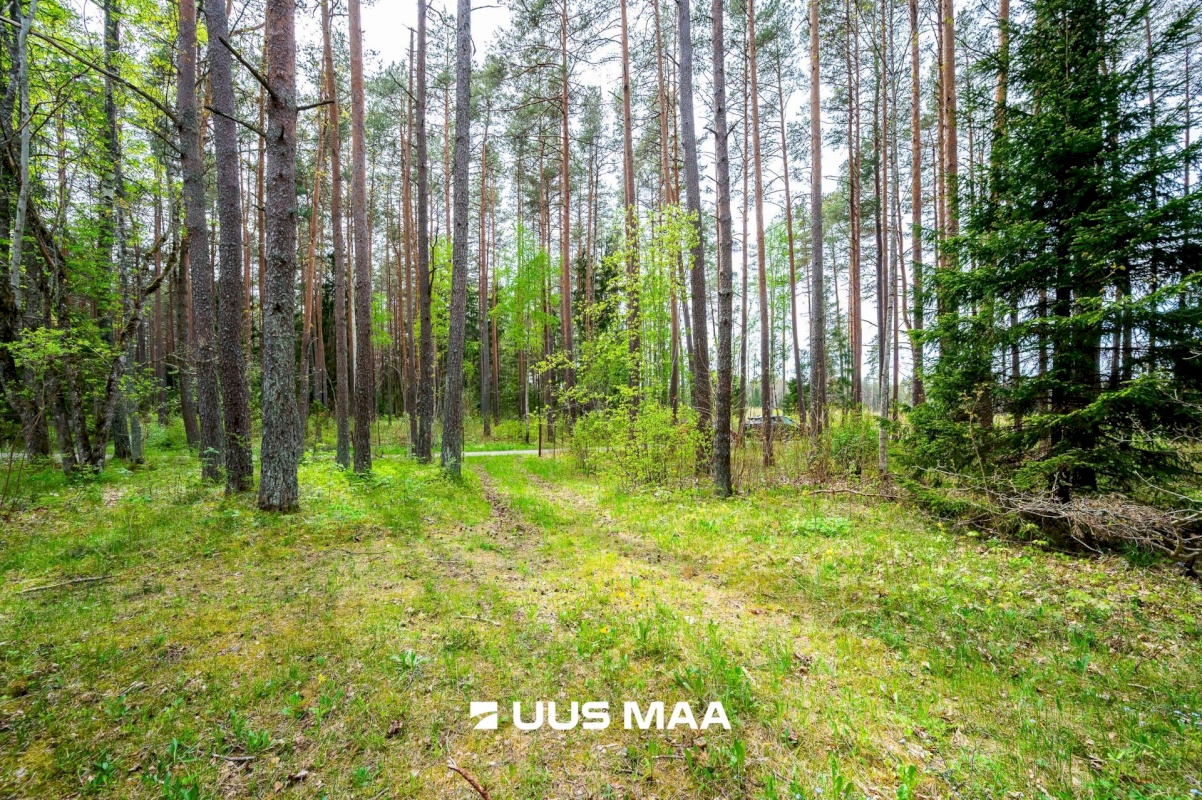 Lääne-Harju vald, Vasalemma alevik, Taganõmme 8