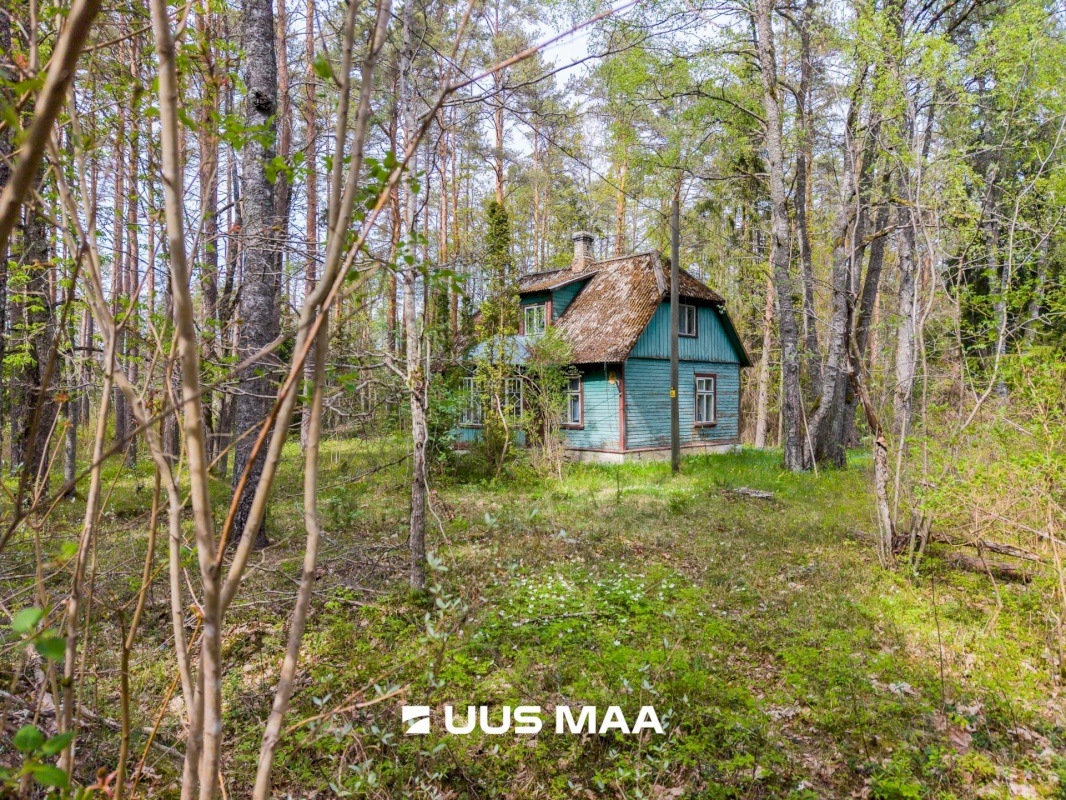 Lääne-Harju vald, Vasalemma alevik, Taganõmme 8