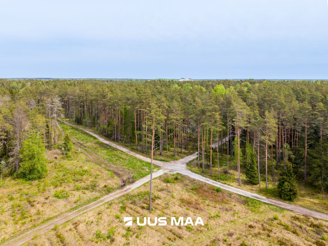 Lääne-Harju vald, Vasalemma alevik, Taganõmme 8