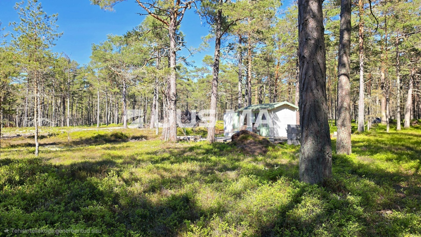 Lääne-Nigula vald, Rooslepa küla/Roslep