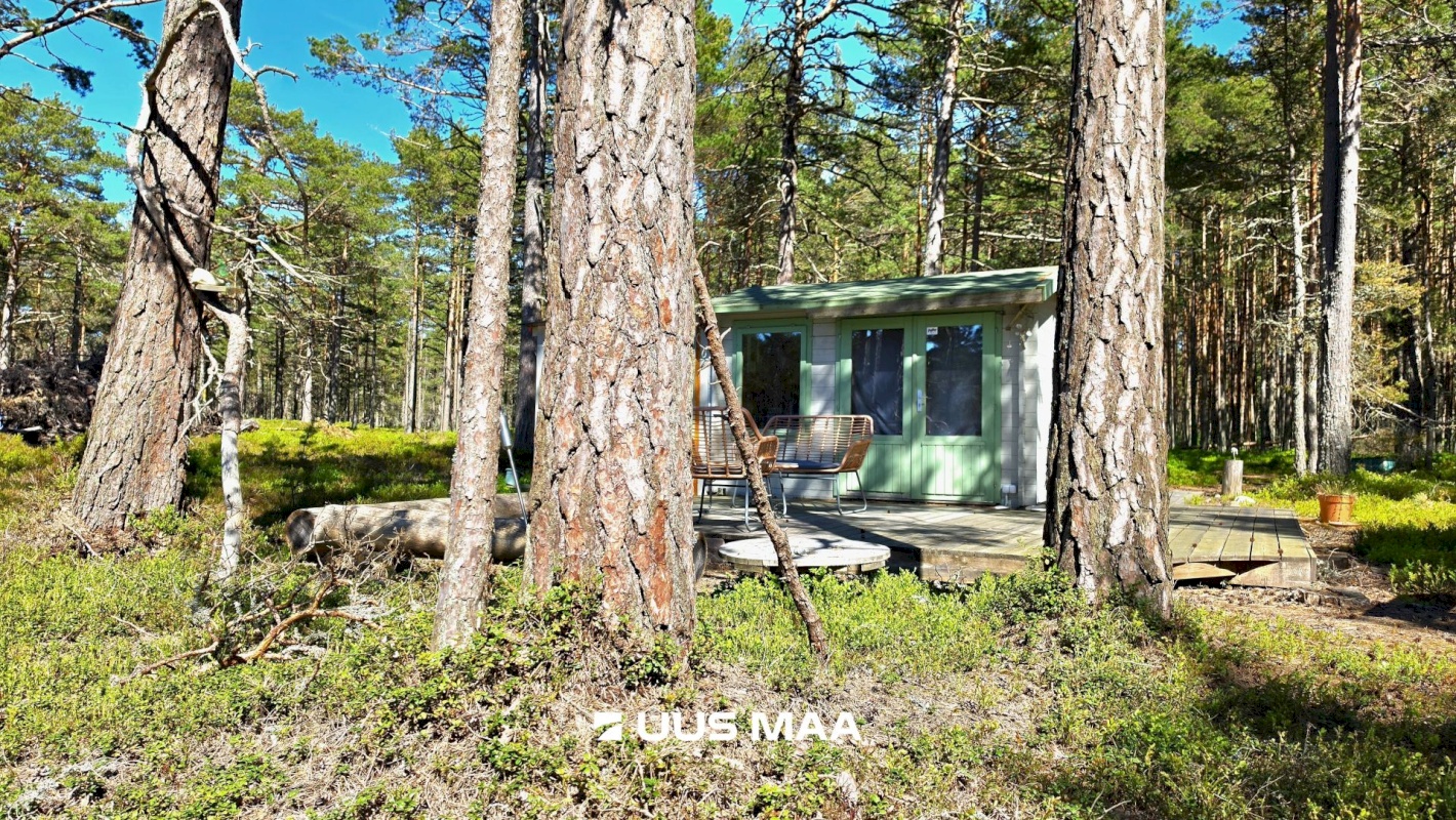 Lääne-Nigula vald, Rooslepa küla/Roslep