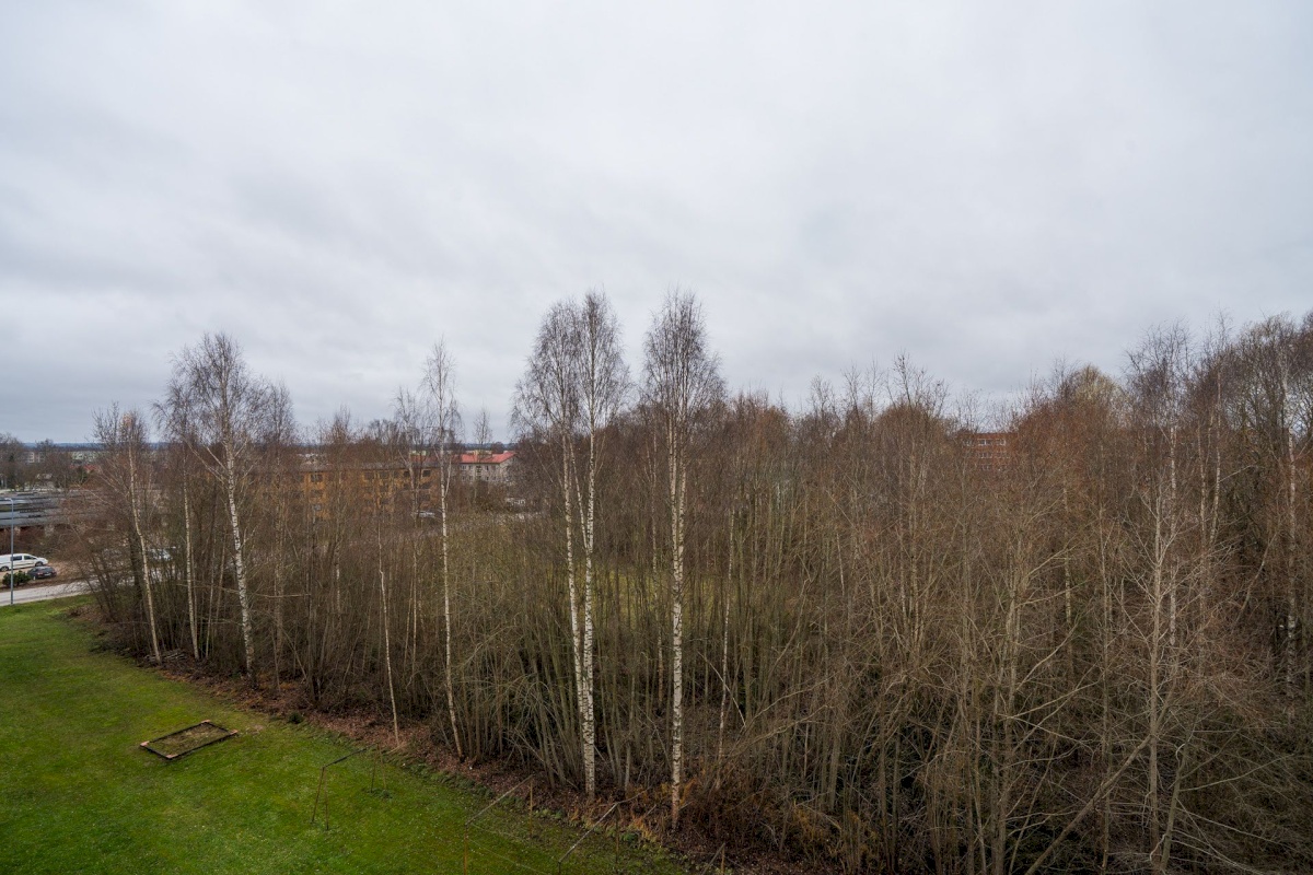 Võru linn, Petseri 2