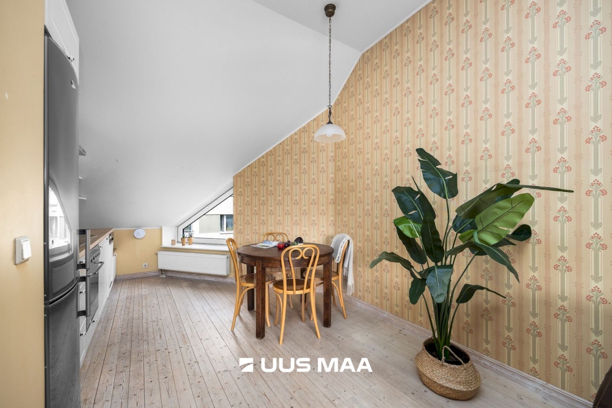 Tallinn, Kesklinna linnaosa, Kadriorg, Koidula 28