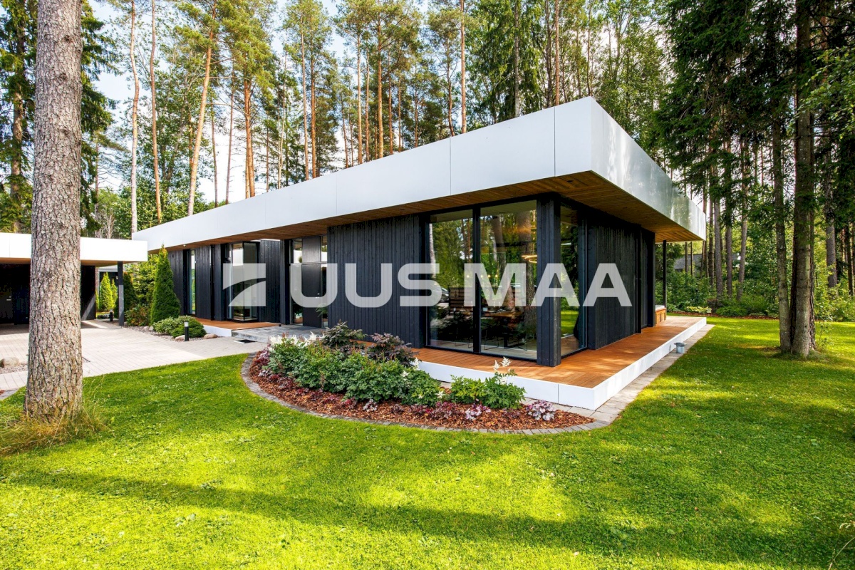 Saue vald, Alliku küla, Luigelille 2A