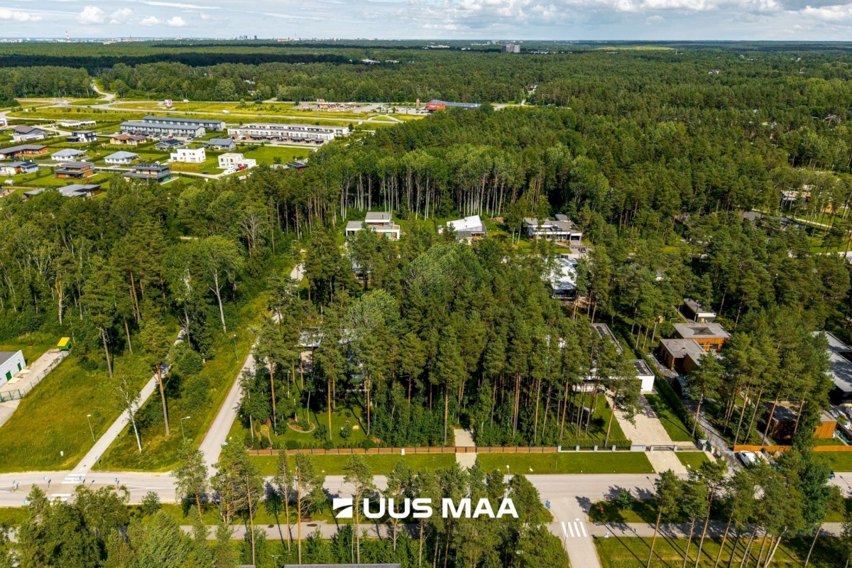 Saue vald, Alliku küla, Luigelille 2A