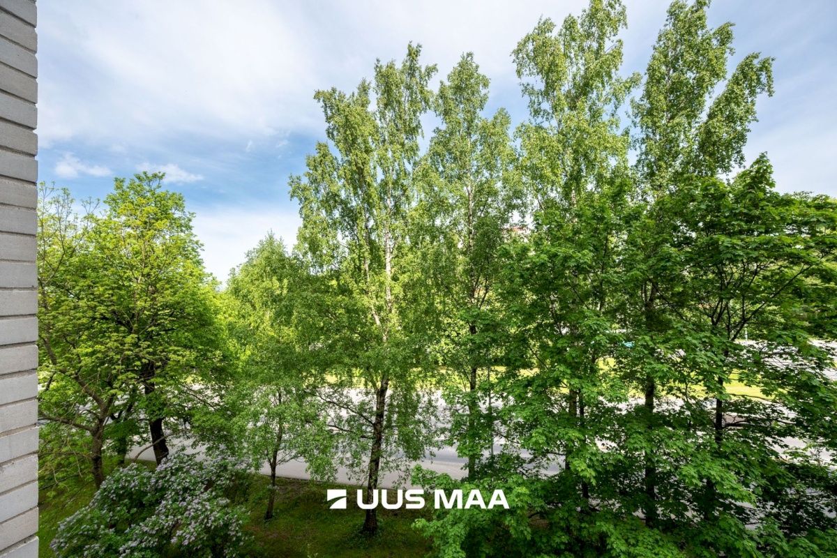 Tallinn, Haabersti linnaosa, Paldiski mnt 85