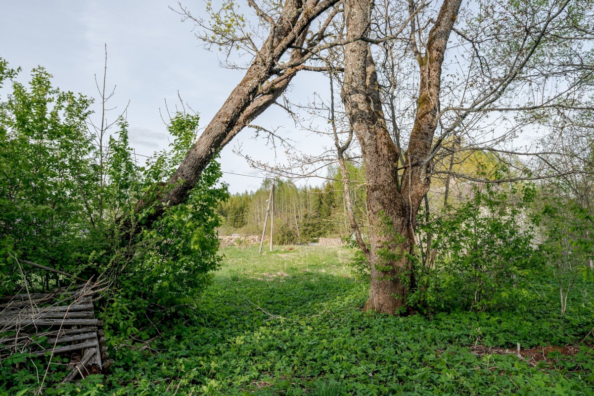Rõuge vald, Kogrõ küla