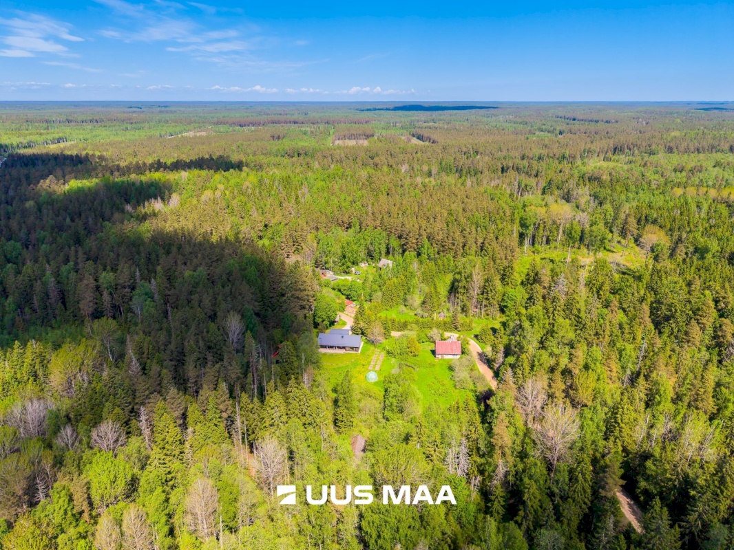 Anija vald, Pillapalu küla, Telliskivi 12