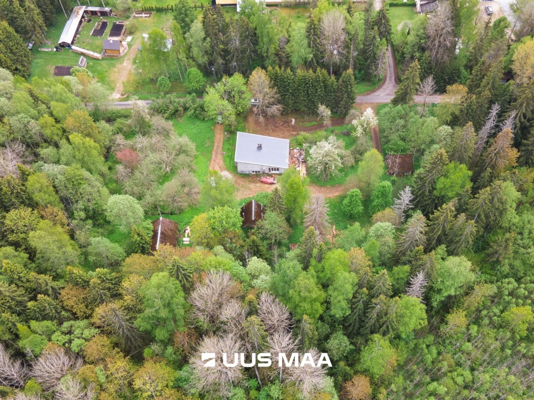 Jõgeva vald, Painküla, Metsakatsejaama vkt 15
