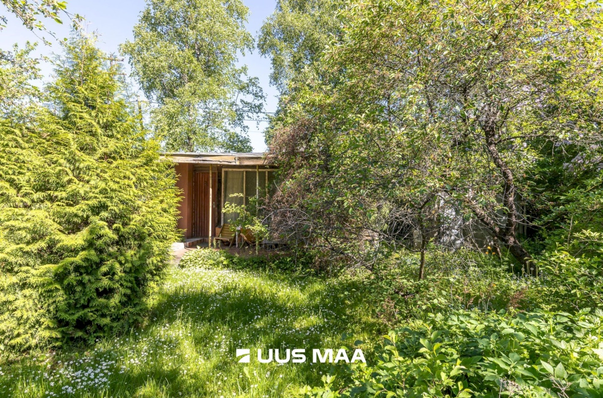 Maardu linn, Orasheina tee 50