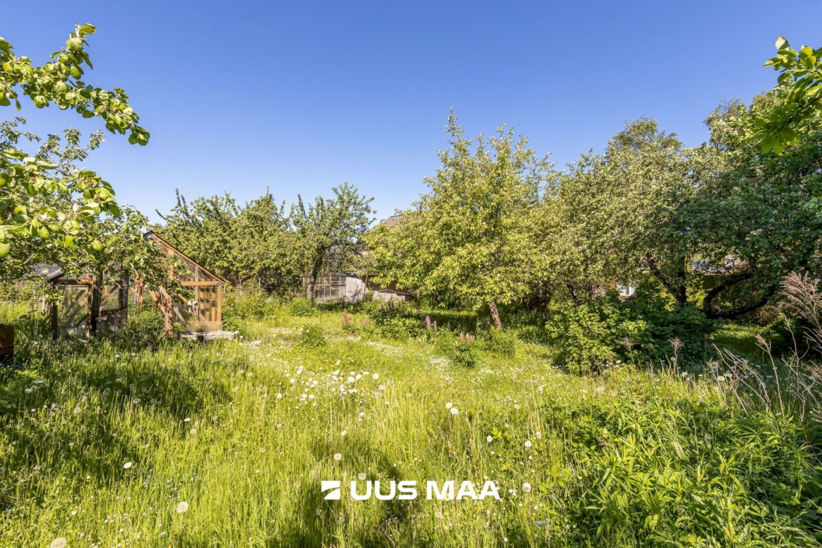 Maardu linn, Orasheina tee 50