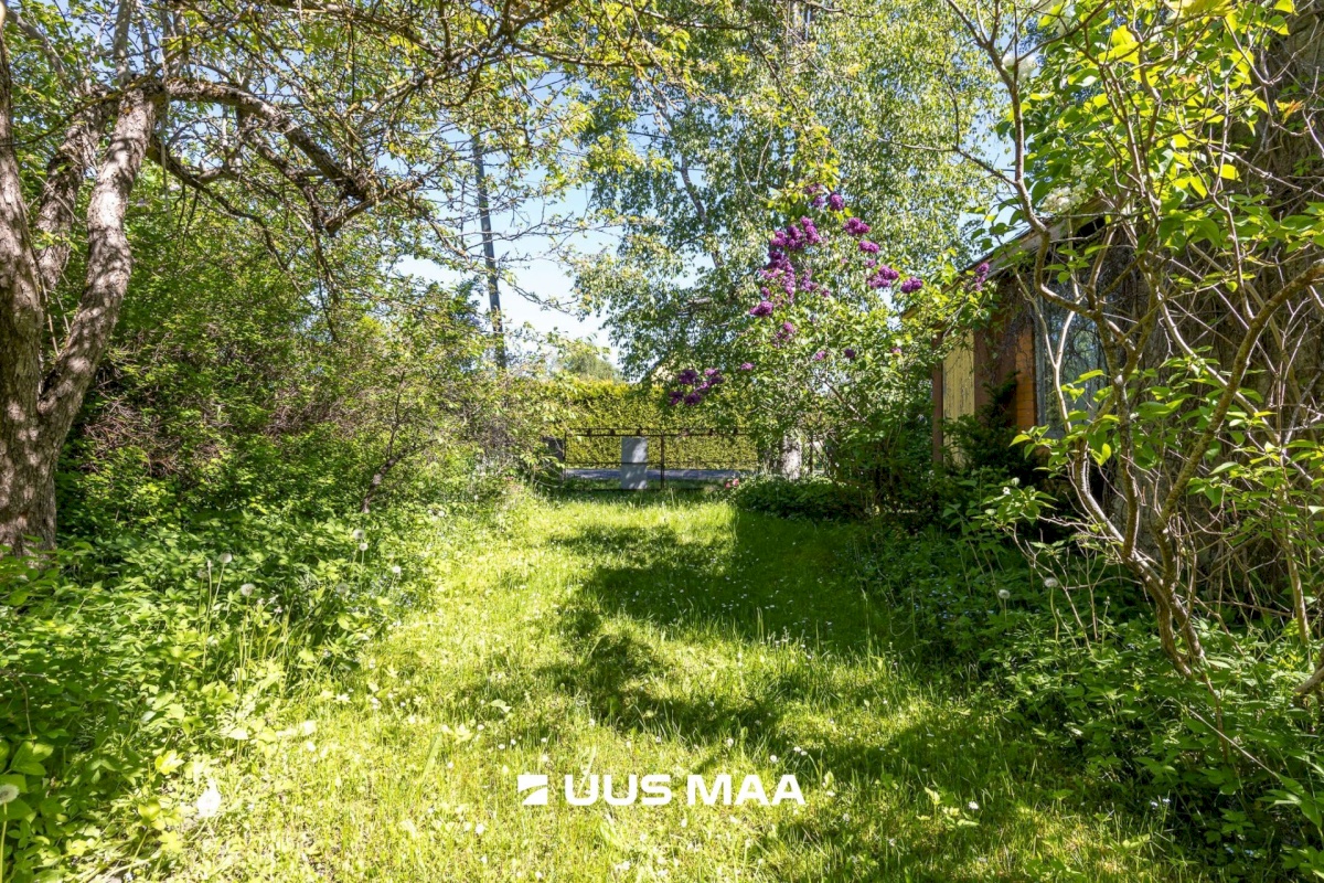 Maardu linn, Orasheina tee 50