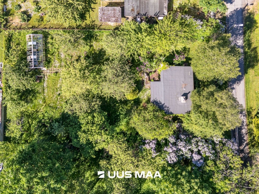 Maardu linn, Orasheina tee 50