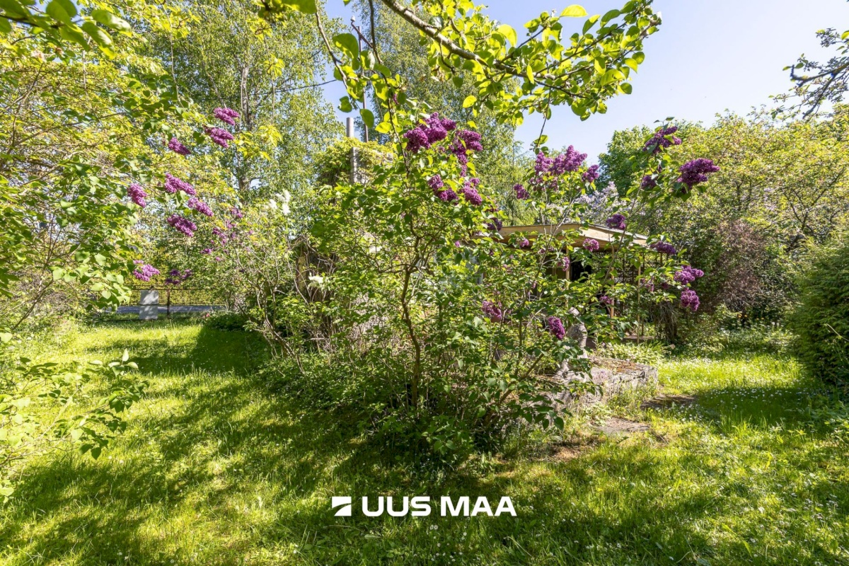 Maardu linn, Orasheina tee 50
