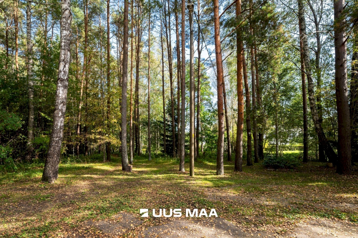Saue vald, Laagri alevik, Pääsküla, Pajude pst 5