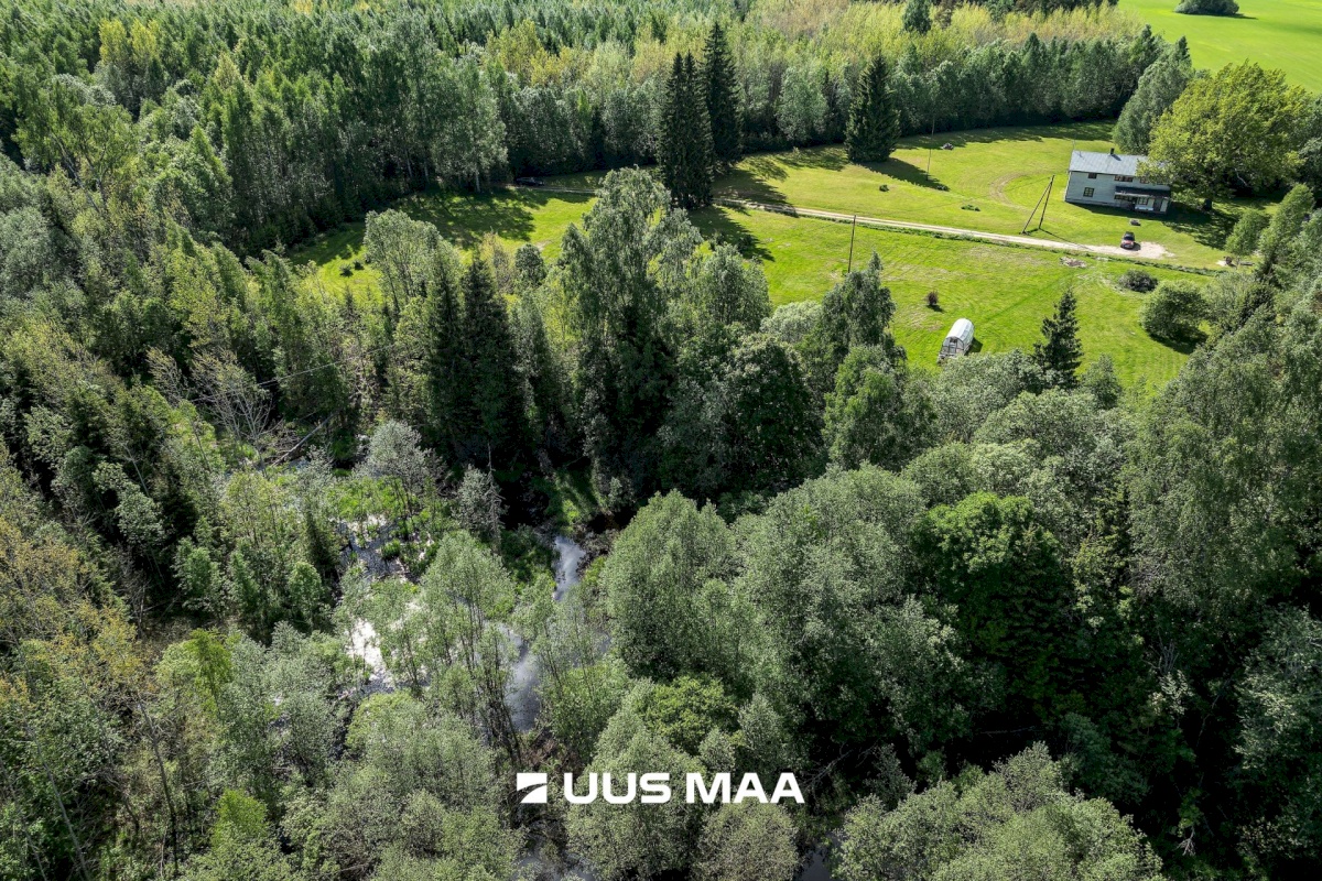 Mulgi vald, Veelikse küla, Karuoti