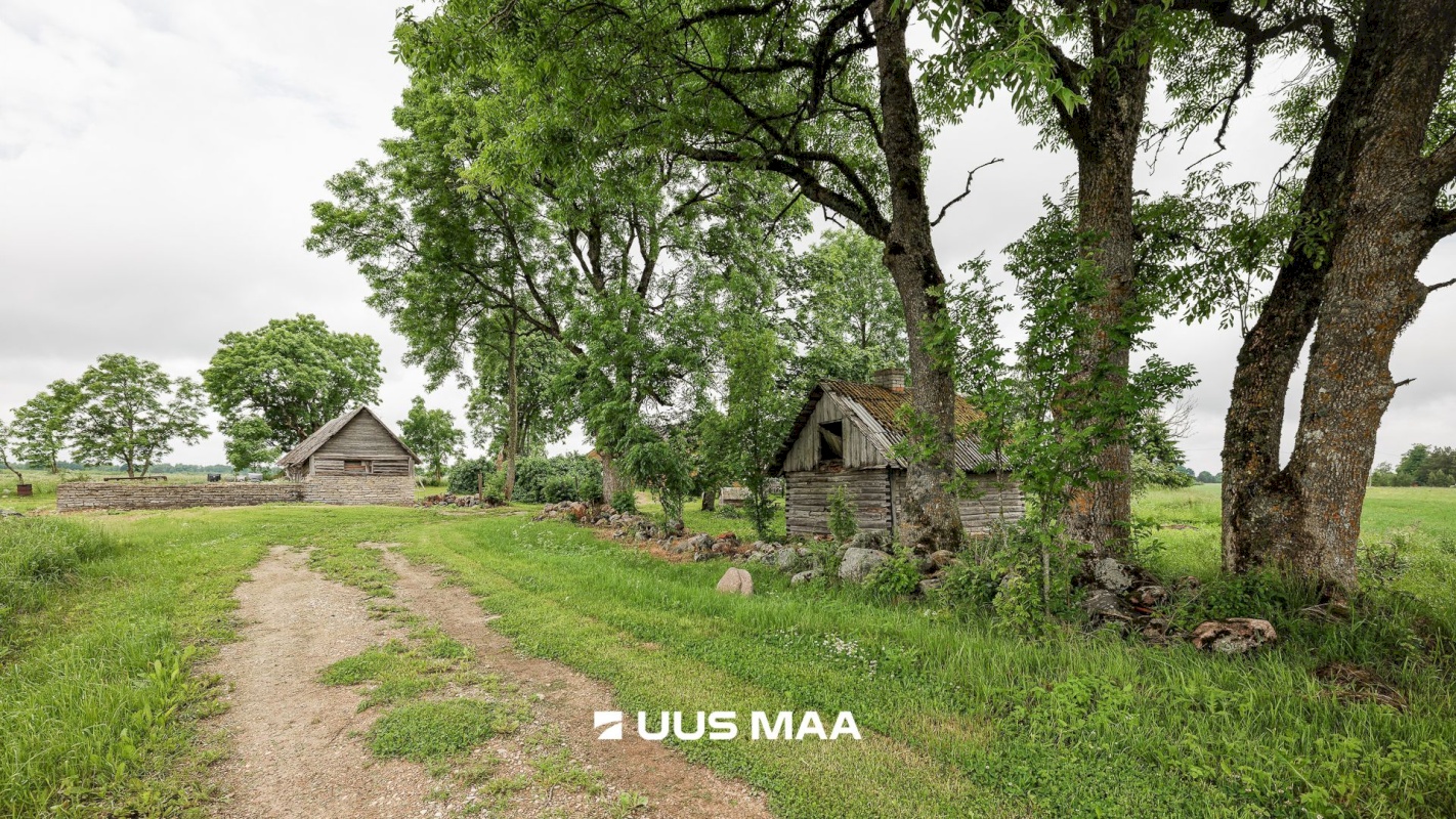 Haljala vald, Paasi küla