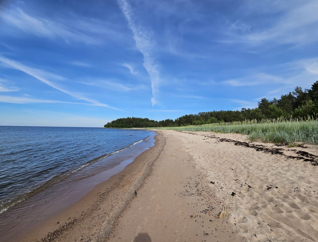 Haljala vald, Lobi küla, Tagametsa Lillemäe