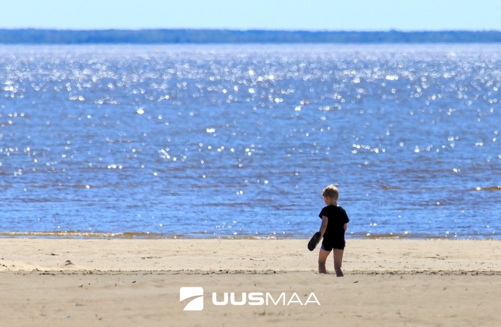 Pärnu linn, Pärnu linn, Mai, Papiniidu 62