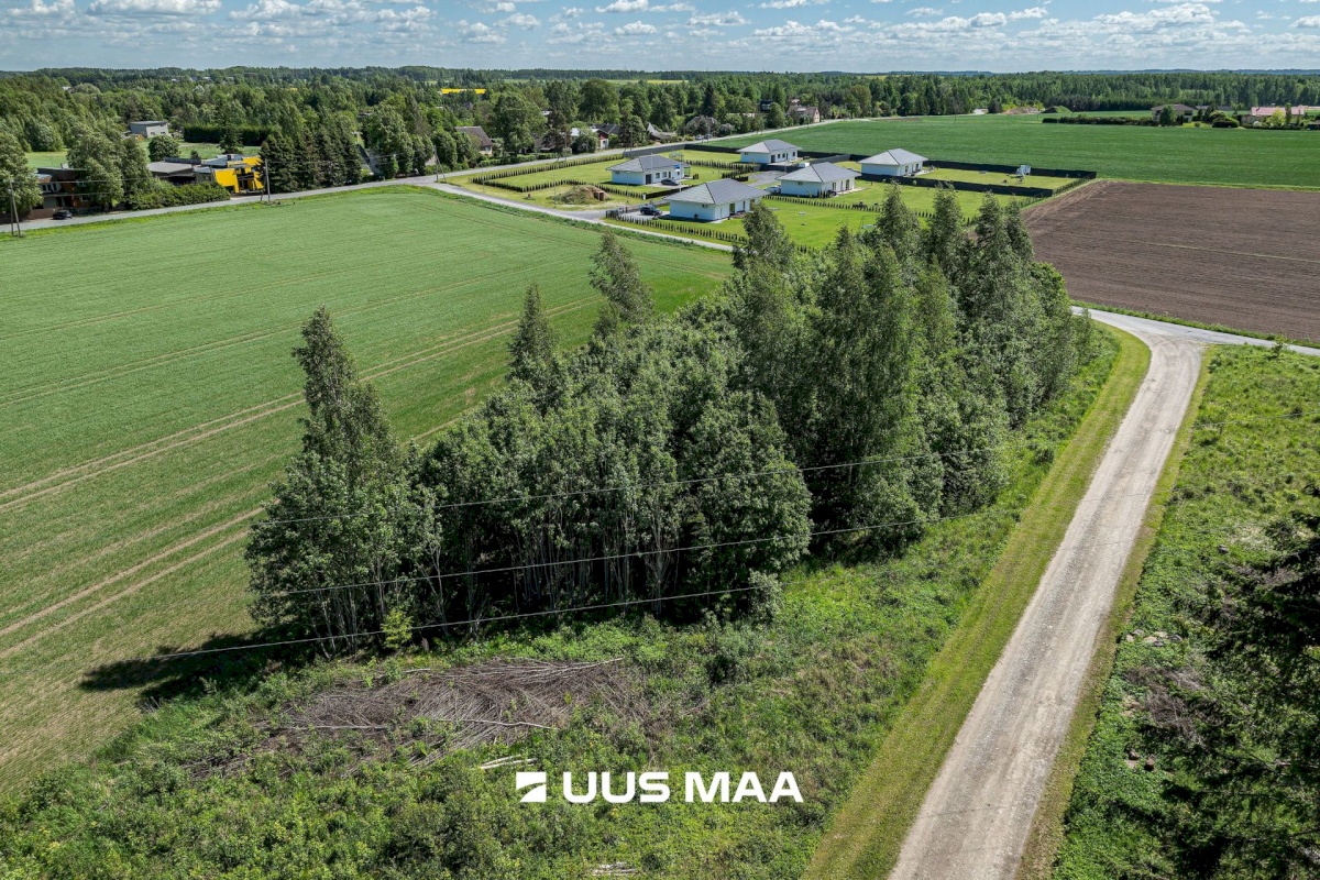Kambja vald, Külitse alevik, Kikkaoja tee 3