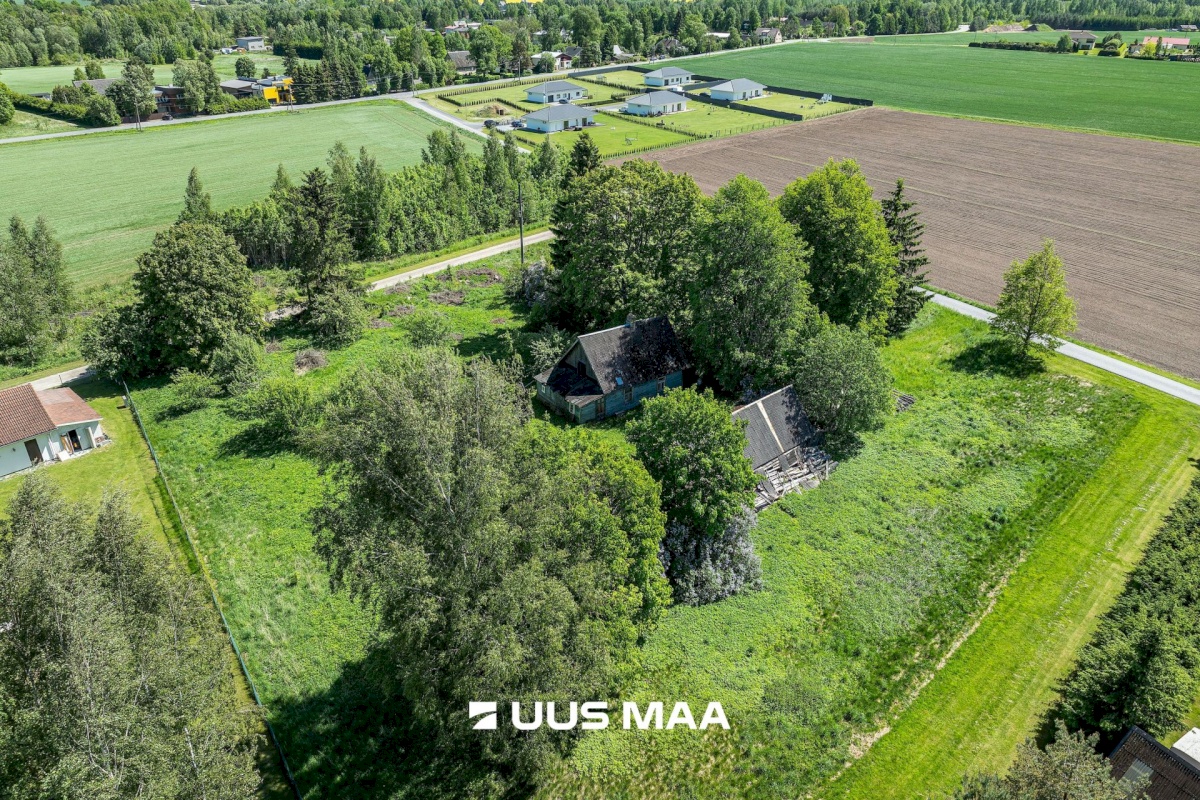 Kambja vald, Külitse alevik, Kikkaoja tee 3