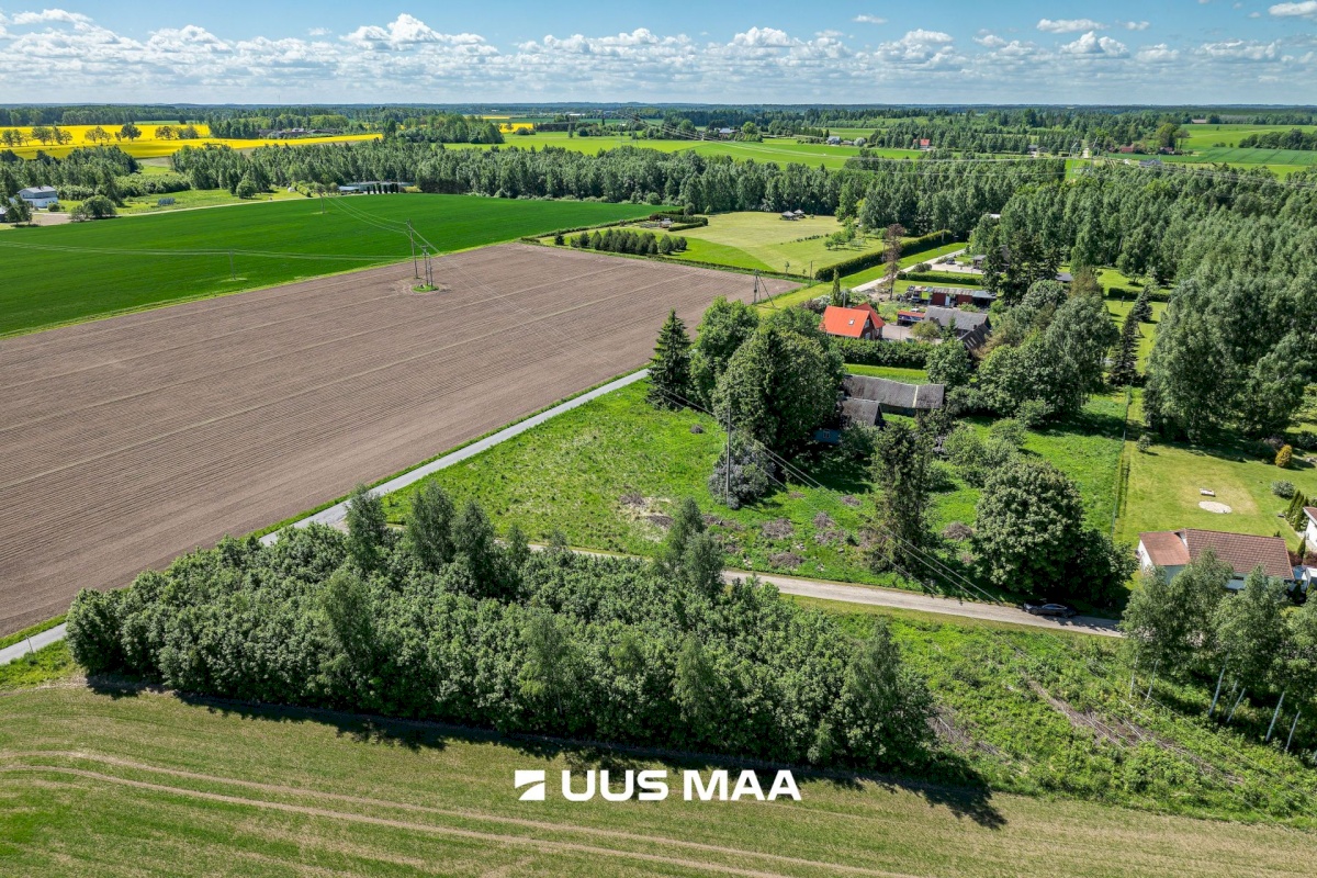 Kambja vald, Külitse alevik, Kikkaoja tee 3