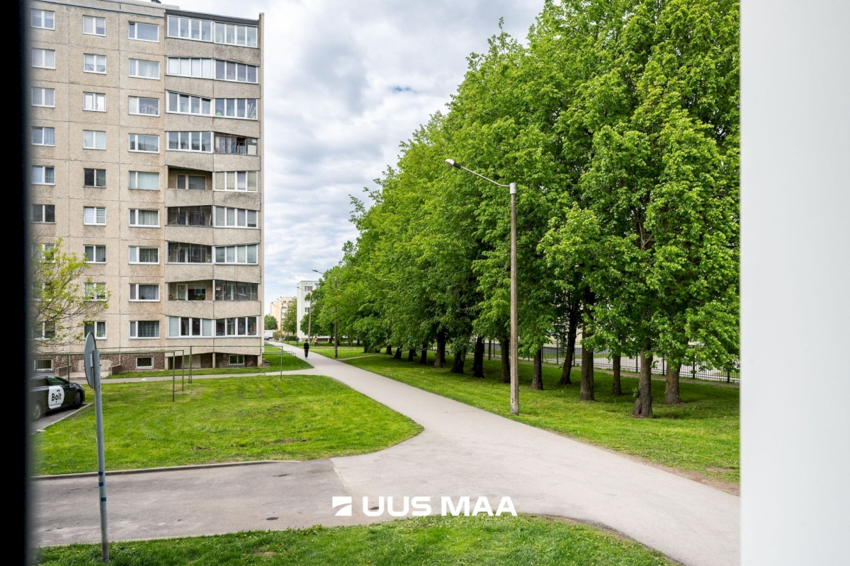 Tallinn, Lasnamäe linnaosa, Pae 84