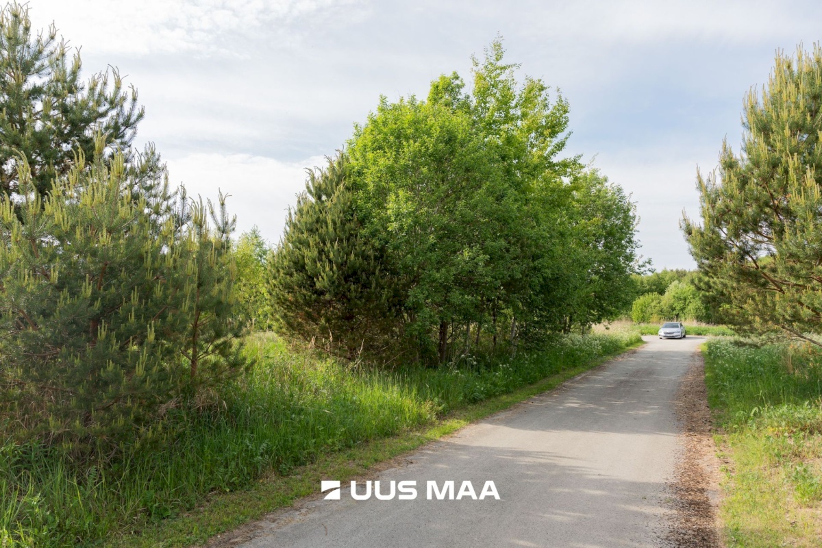 Kuusalu vald, Sõitme küla, rannaküla tee 33