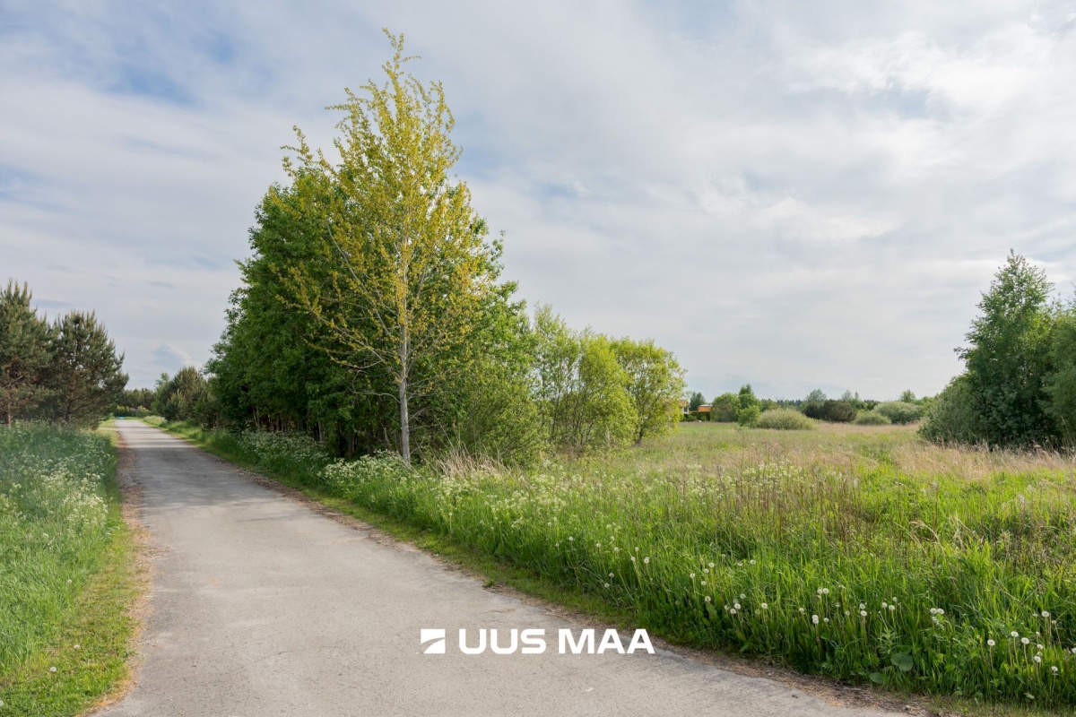 Kuusalu vald, Sõitme küla, rannaküla tee 33