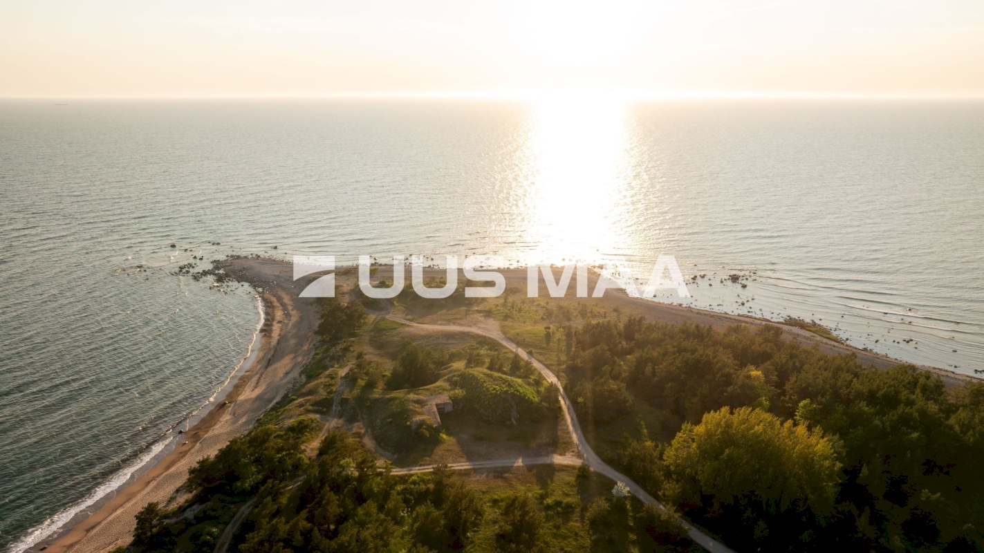 Hiiumaa vald, Kalana küla, Laine
