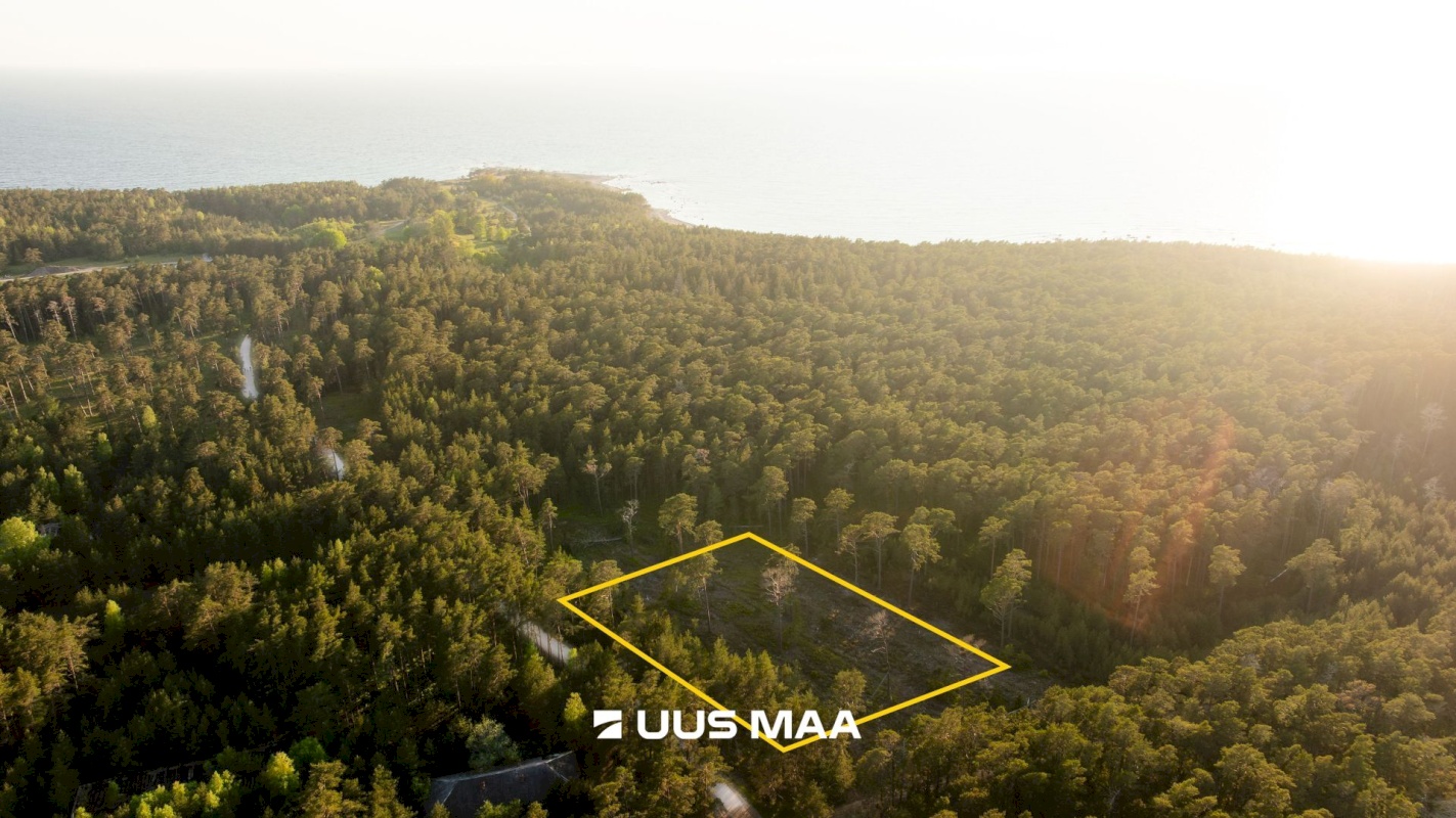 Hiiumaa vald, Kalana küla, Laine