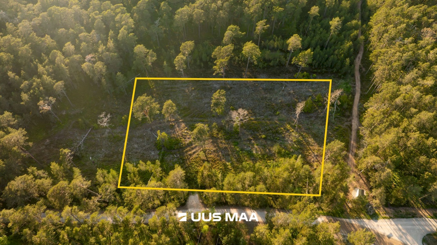 Hiiumaa vald, Kalana küla, Laine
