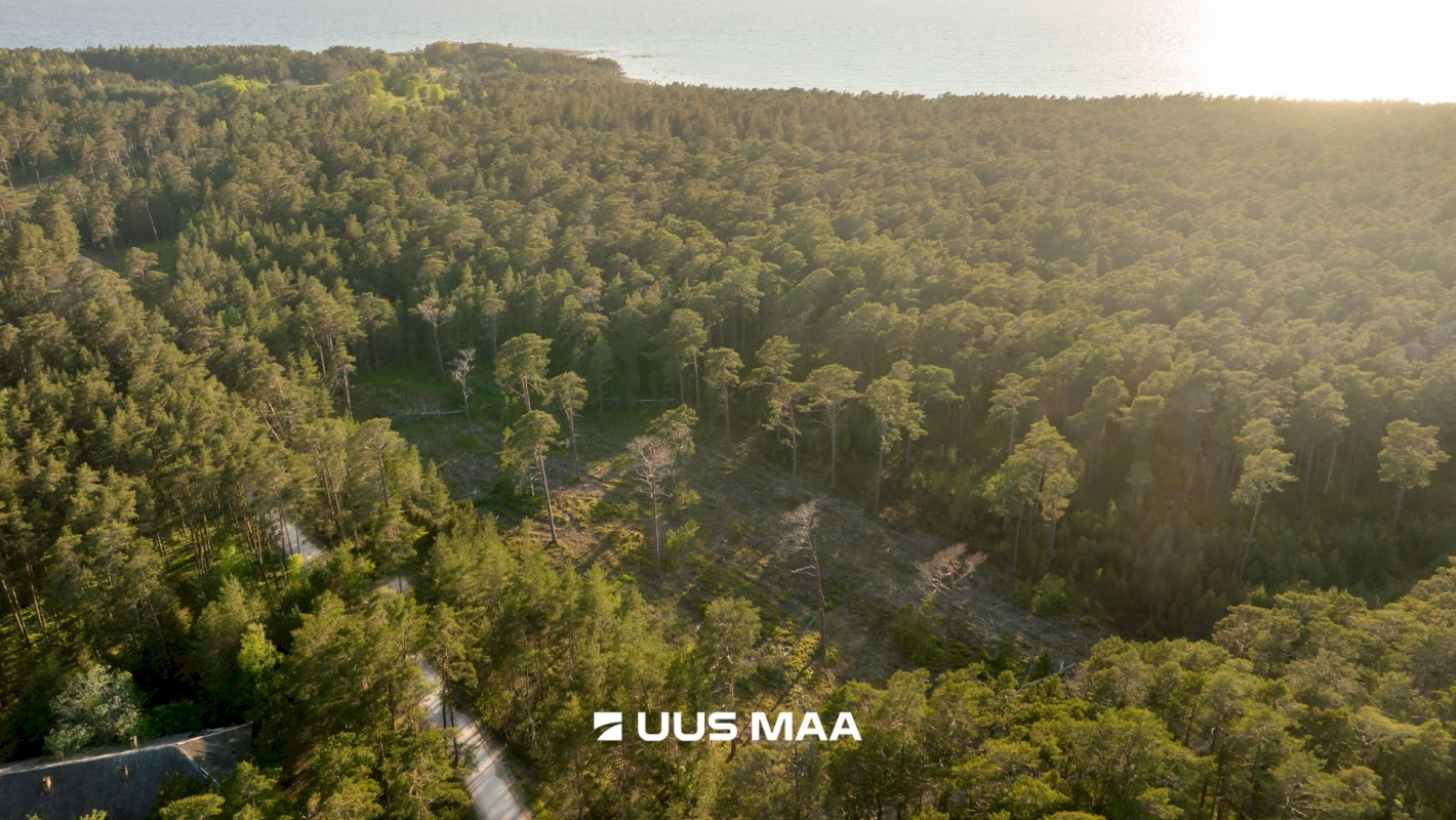 Hiiumaa vald, Kalana küla, Laine