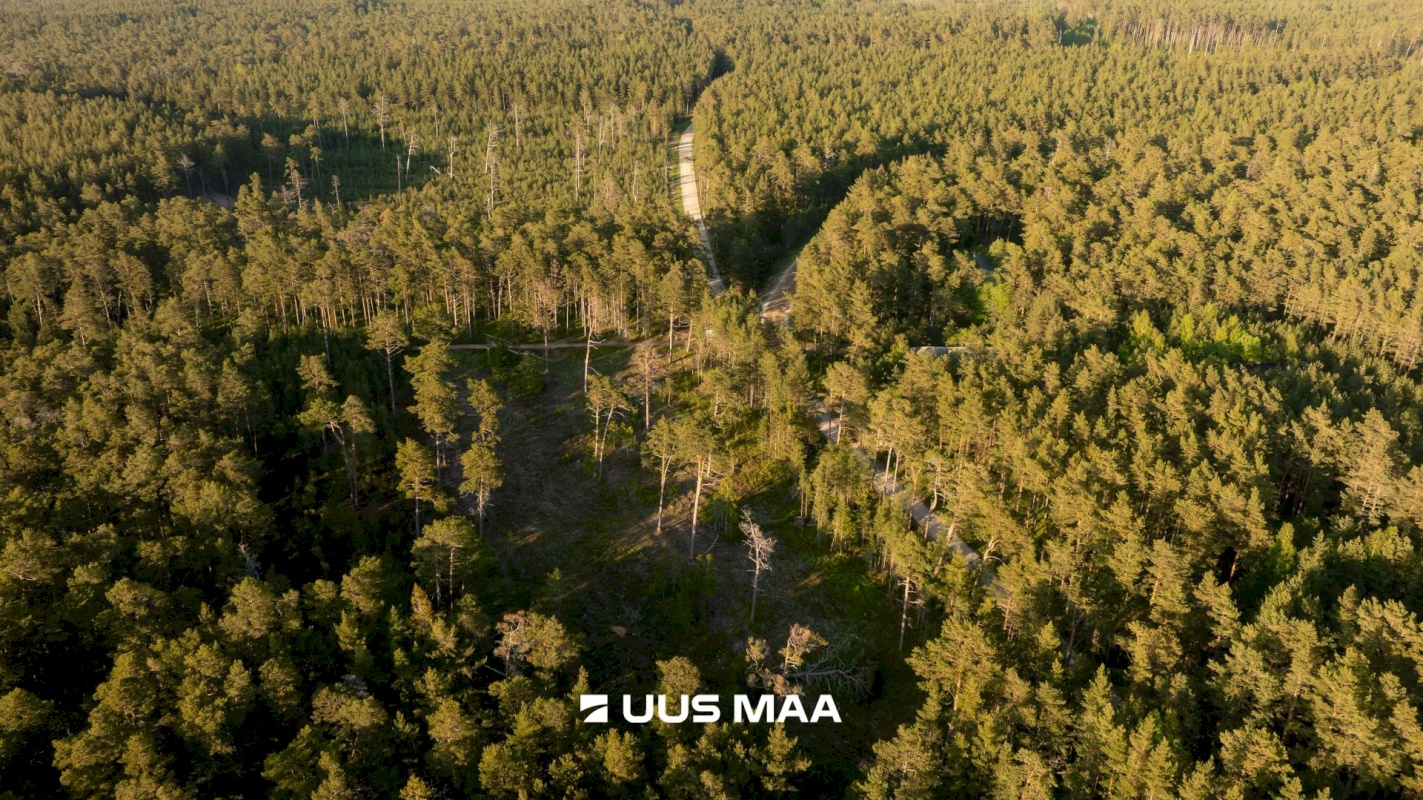 Hiiumaa vald, Kalana küla, Laine