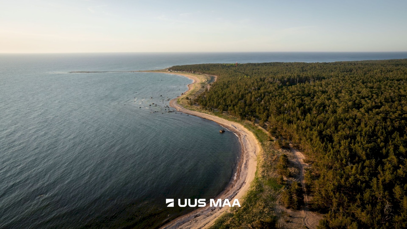 Hiiumaa vald, Kalana küla, Laine