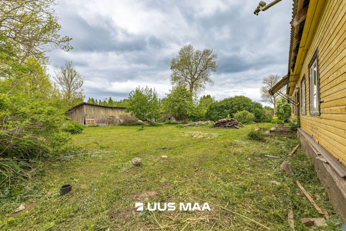 Haljala vald, Ilumäe küla, Soo