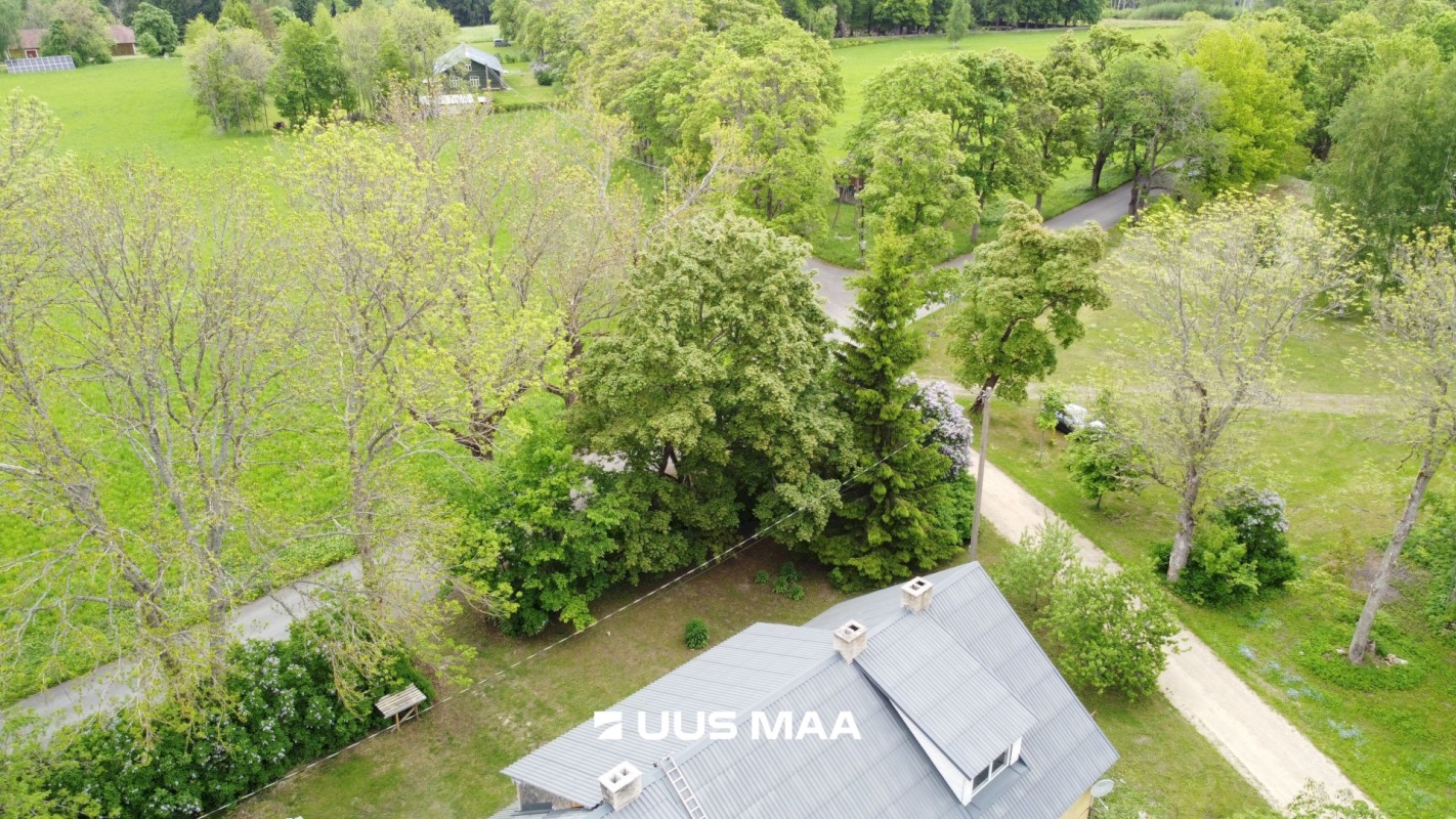 Haljala vald, Ilumäe küla, Soo
