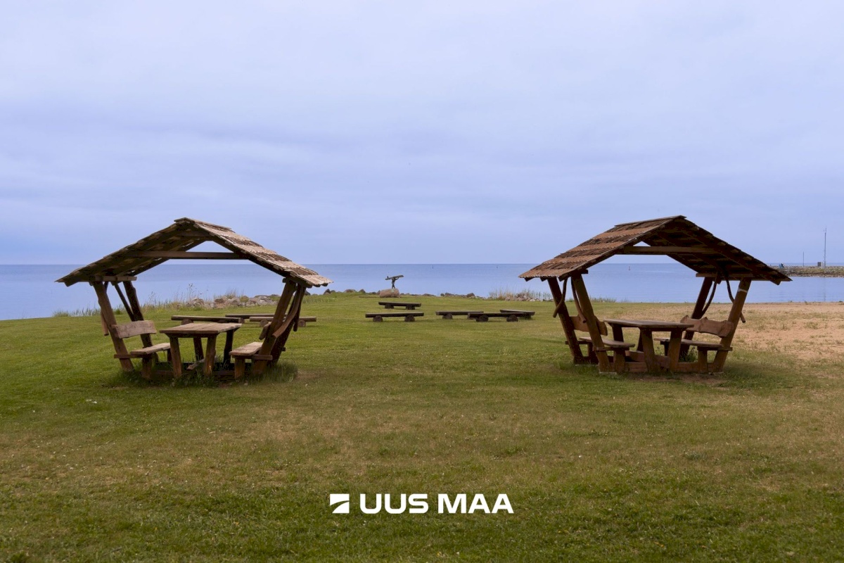 Mustvee vald, Mustvee linn, Uus 4a