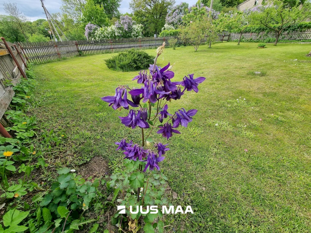 Viru-Nigula vald, Kunda linn, Jõe 2