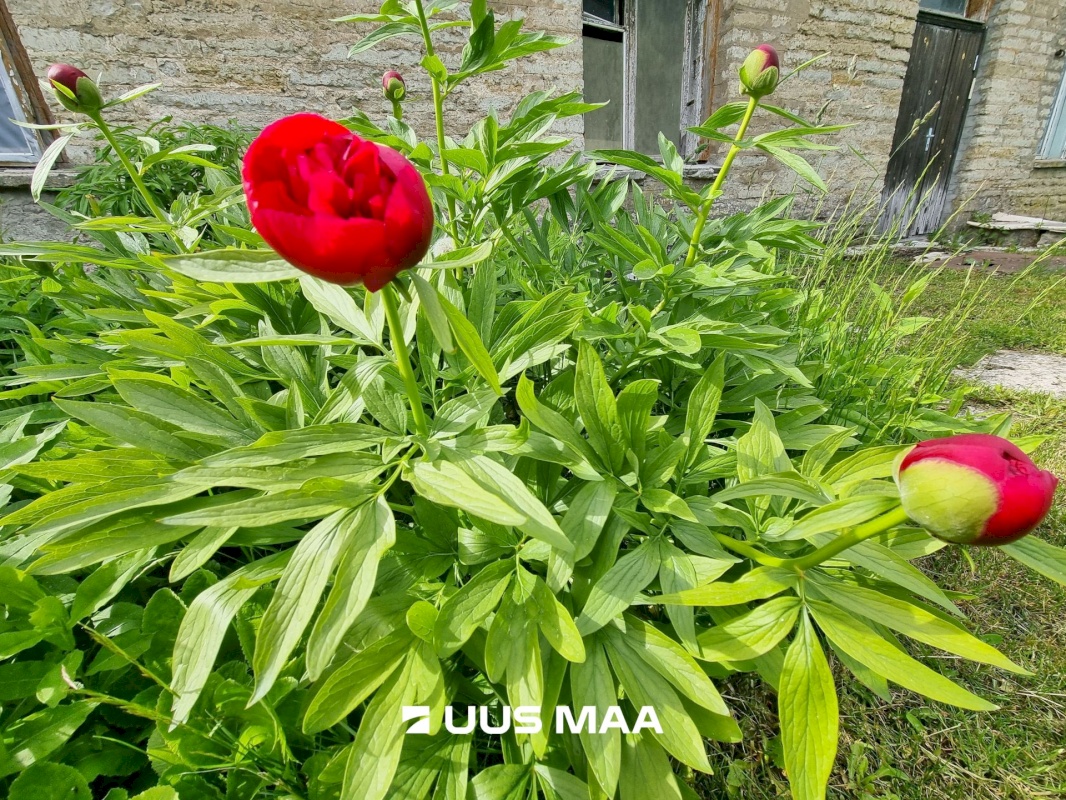 Viru-Nigula vald, Kunda linn, Jõe 2