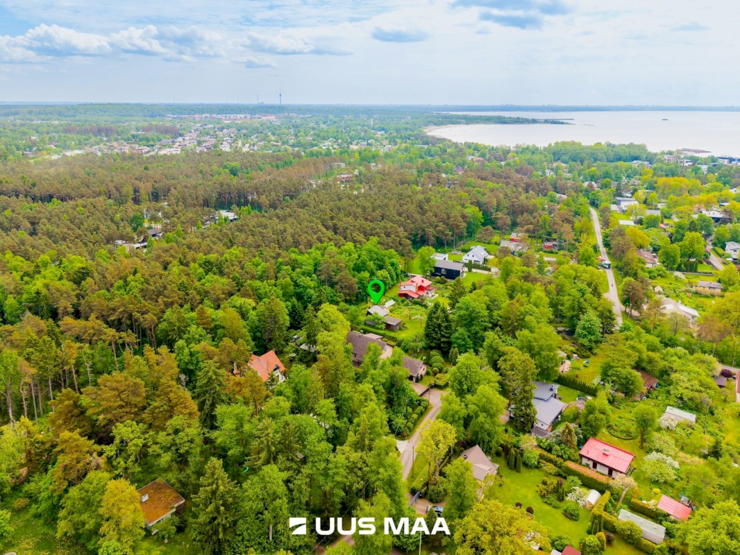 Viimsi vald, Pringi küla, Metsaveere tee 4