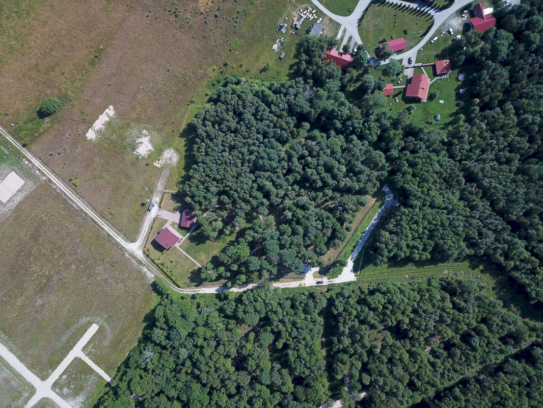 Lääne-Harju vald, Vintse küla, Tiusse-Sõnajala