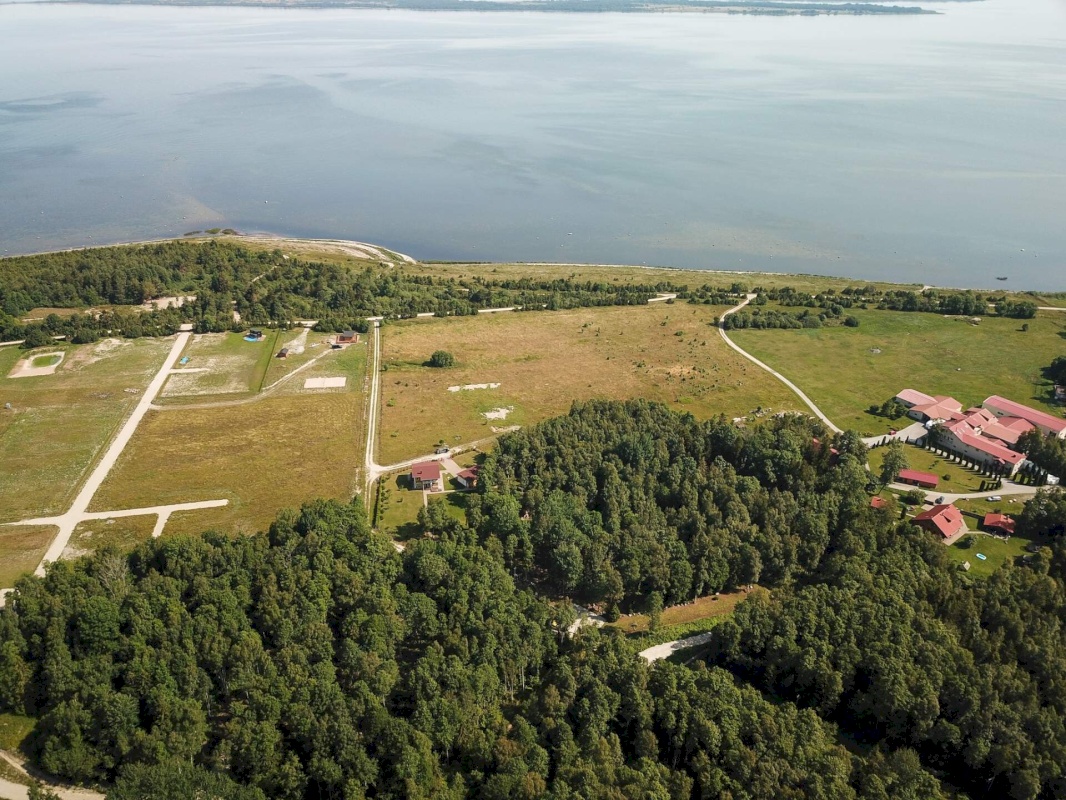 Lääne-Harju vald, Vintse küla, Tiusse-Sõnajala