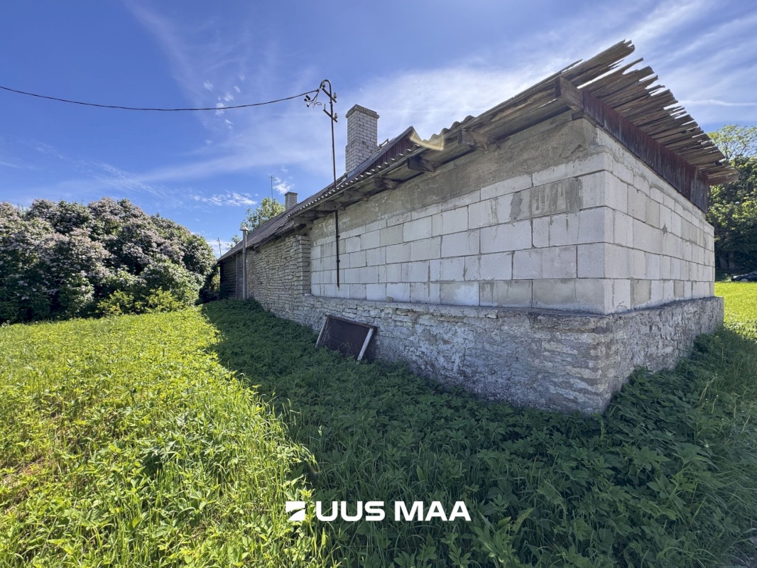 Viru-Nigula vald, Kuura küla, Uku