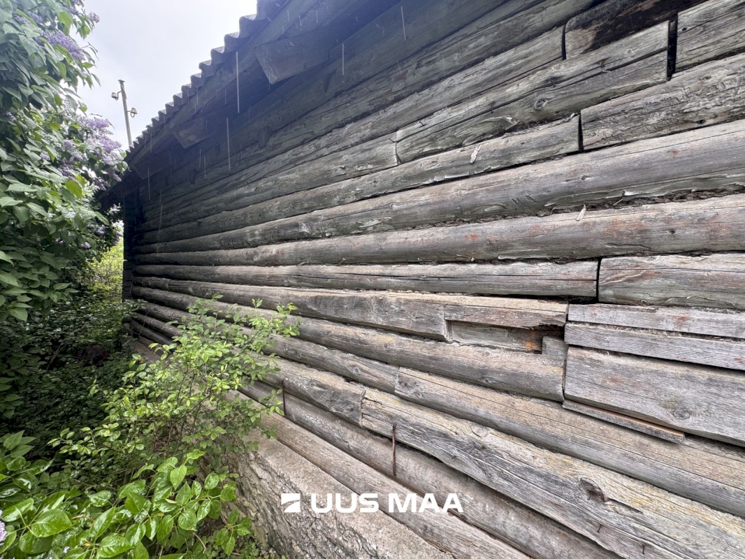 Viru-Nigula vald, Kuura küla, Uku