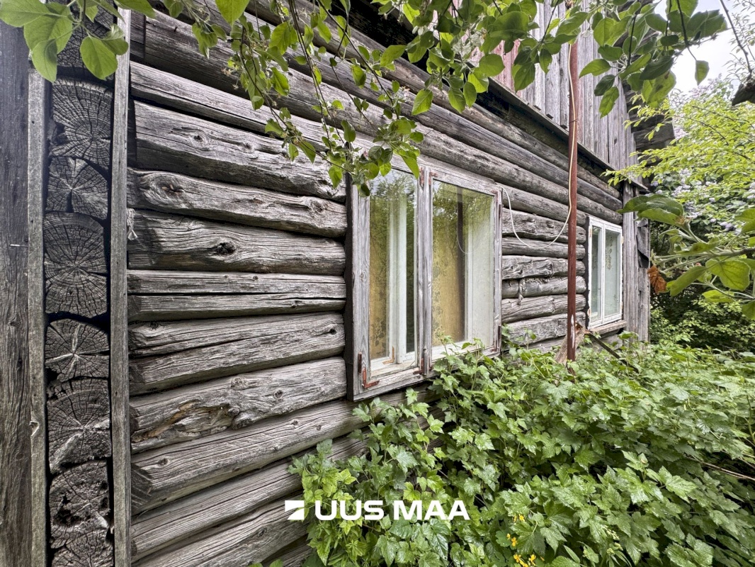 Viru-Nigula vald, Kuura küla, Uku