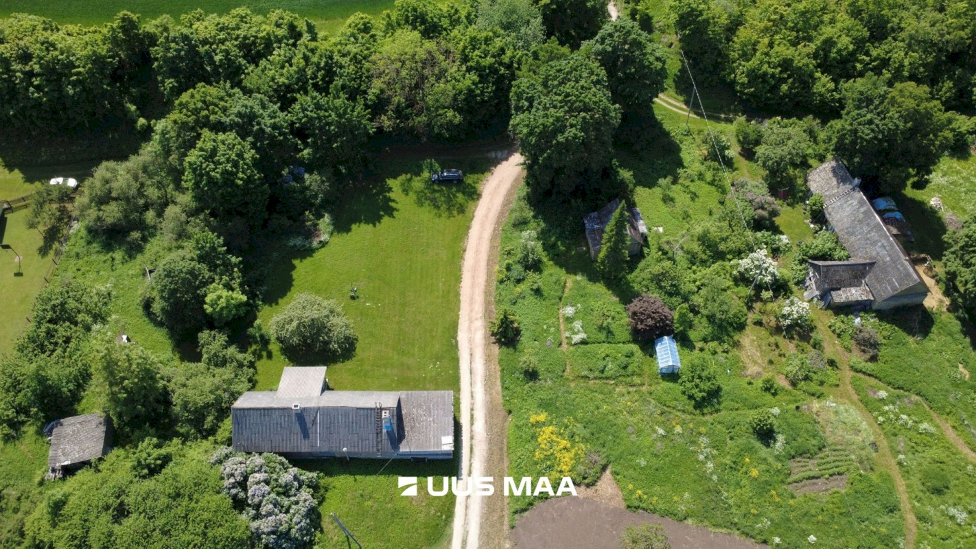 Viru-Nigula vald, Kuura küla, Uku