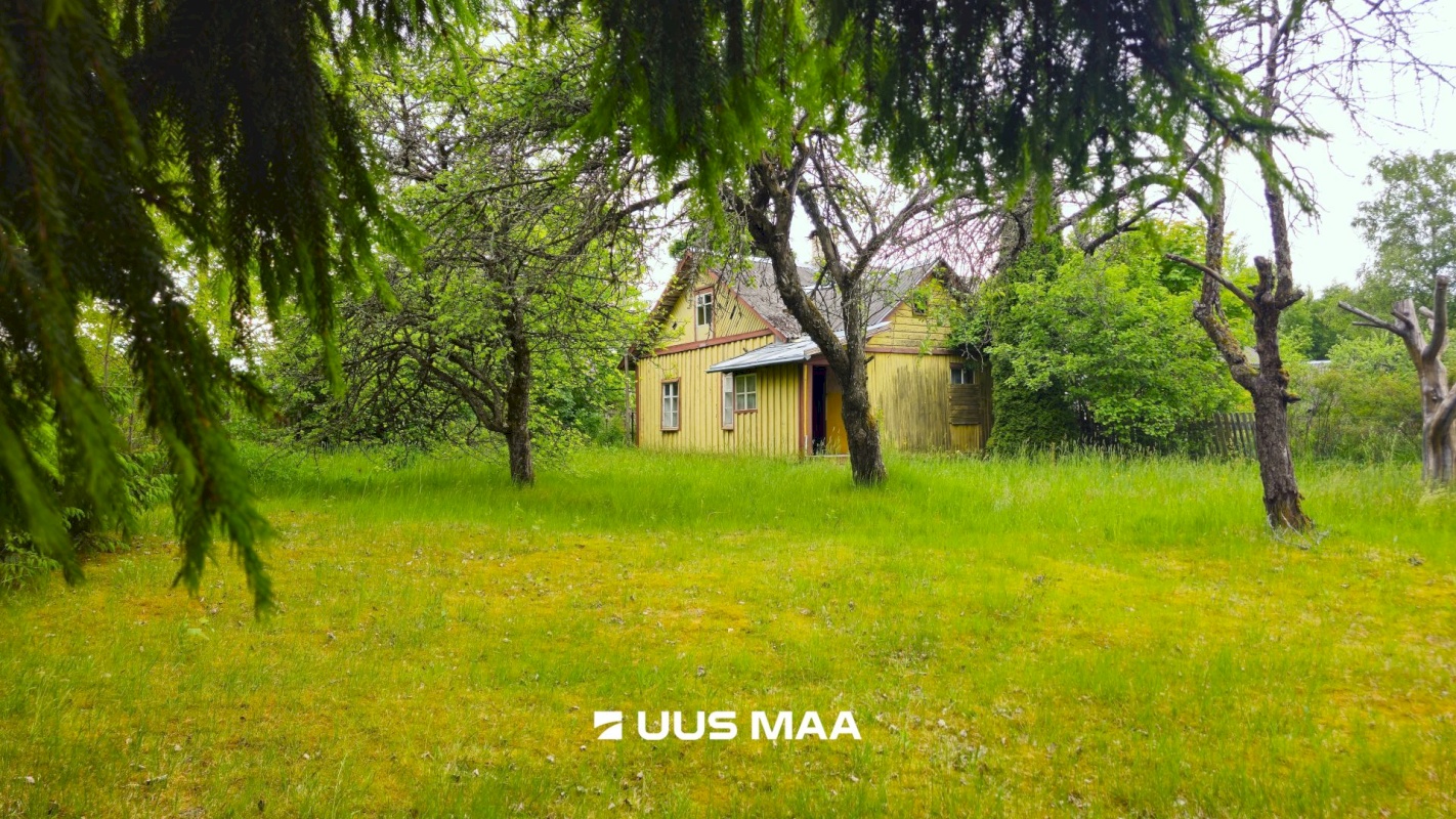 Alutaguse vald, Kuru küla, Kuldnoka