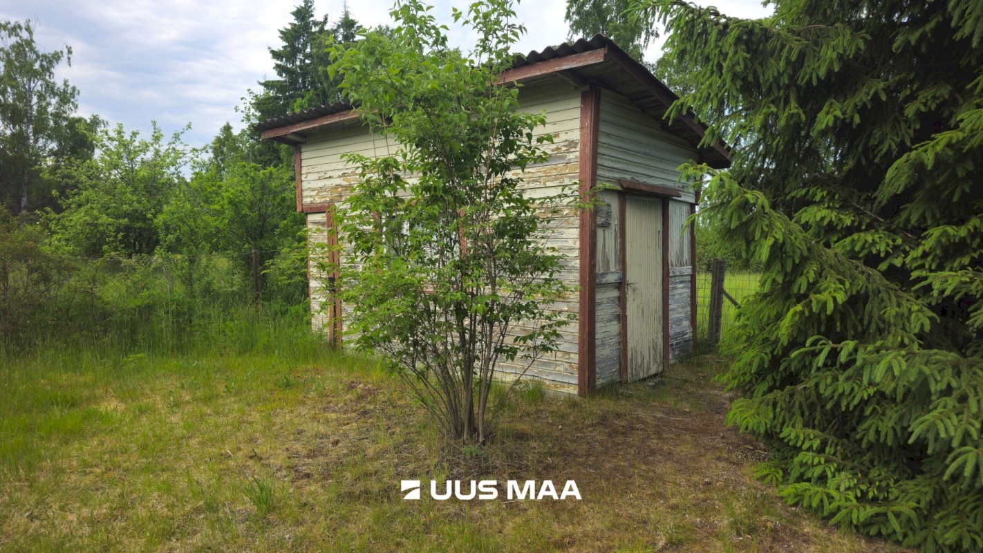 Alutaguse vald, Kuru küla, Kuldnoka