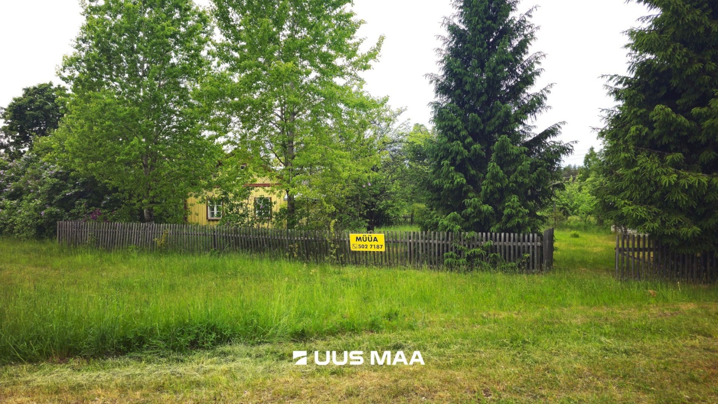 Alutaguse vald, Kuru küla, Kuldnoka